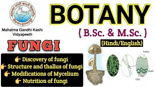 General Characteristics of FungiMyceliumHyphae Modification of MyceliumBSc 1st year BotanyFungi [upl. by Rorry347]