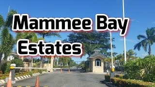 Mammee Bay Estates  Jamaica [upl. by Ayoras177]