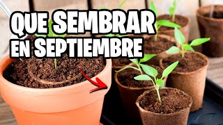 Que sembrar en SEPTIEMBRE 🌱 Calendario de Siembra 2023  La Huerta de Ivan [upl. by Bamford]