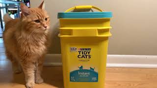 Tidy Cats Litter is by far the easiest to scoop litter [upl. by Delanty141]