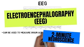 2Minute Neuroscience Electroencephalography EEG [upl. by Porte885]