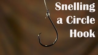 How to Tie a Snell Knot on a Circle Hook [upl. by Ainala]