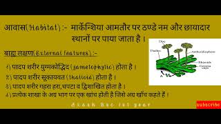 Morphology of Marchantia in hindi।।Bsc 1st year।।मार्केन्शिया के बाह्य लक्षण आवास व वर्गीकरण [upl. by Seedman834]