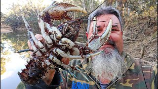 Epic Underwater Footage Yellowbelly Fishing and Crayfish Encounter [upl. by Jaworski]