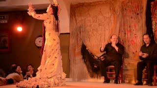 Flamenco  Tony Maya y Victoria Duende [upl. by Auod]