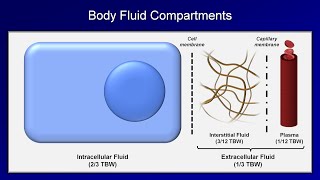 IV Fluids Lesson 1  Basic Principles [upl. by Inaflahk]