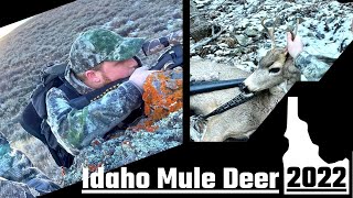 We Found Deer From 35 Miles Away  2022 Idaho Mule Deer [upl. by Lehcyar]