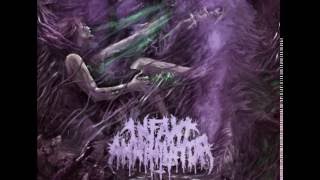 Infant Annihilator  Blasphemian Lyrics in video [upl. by Ijuy984]