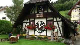 Largest cuckoo clock in black forest region [upl. by Normak]