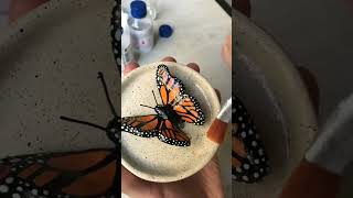 😱 Butterfly clay butterfly ytshorts youtubeshorts [upl. by Cleveland]