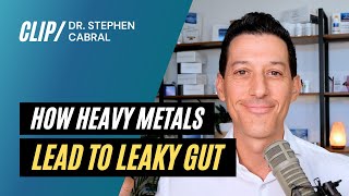 How Heavy Metals Lead to Leaky Gut [upl. by Anirav776]