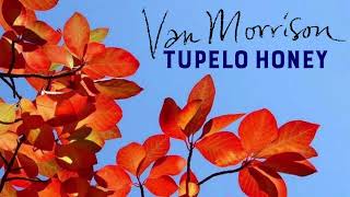 Van Morrison  Tupelo Honey [upl. by Boggers]