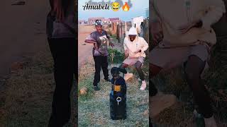 Amabele Amapiano amaentertainer sowetosfinest Hadiwele🔥🔥🕹 NewDancechallenge viralvideo [upl. by Veda]