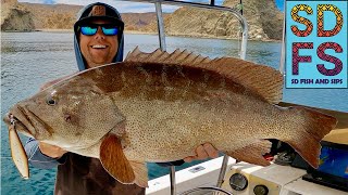 YoYo Iron Fishing Grouper Pargo amp Cabrilla  Loreto Baja California Sea of Cortez  Spring Ep1 SDFS [upl. by Enilorac415]