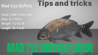 How to catch Mad Eye Buffalo  Fishing planet guide and tips [upl. by Dre137]