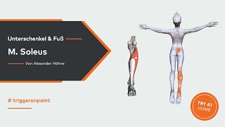Fersenschmerzen und Achillessehne  M soleus als Ursache [upl. by Judus]