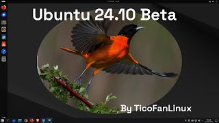 Ubuntu 2410 Beta Está Ficando Show [upl. by Machutte]