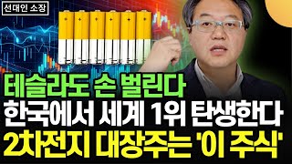 테슬라도 손 벌린다 한국에서 세계 1위 탄생한다 2차전지 대장주는 이 주식 선대인 소장  3부 [upl. by Rebm568]