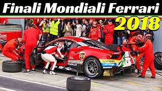 Finali Mondiali Ferrari Monza 2018  Sunday Show  F1 Corse Clienti XX Programme 488 GTE amp More [upl. by Seuqramed]