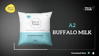 Sids Farm Fresh Milk  A2 Buffalo Milk  A2 Desi Cow Milk  Cow Milk  A2 Buffalo Double Toned Milk [upl. by Sesiom]