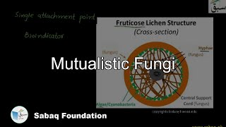 Mutualistic Fungi Biology Lecture  Sabaqpk [upl. by Rosenfeld]