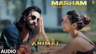 ANIMAL Marham Pehle Bhi Main Audio Ranbir KapoorTripti Dimri SandeepVishal MRaj SBhushan K [upl. by Leland395]