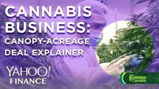 Cannabis business CEOs of Acreage Cannabis and Canopy Growth discuss massive pending merger [upl. by Noyk977]