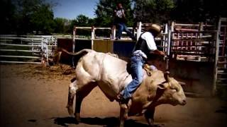 Donald Cerrone  Cowboy  Highlights  by cohors23 [upl. by Ysabel]