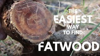 How to find Fatwood The easiest way [upl. by Regnig939]