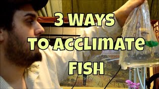 How to Acclimate New Fish in the Aquarium  3 Different Methods of Safely Acclimating Fish [upl. by Yasmar]