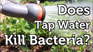 Does the Chlorine in Tap Water Harm Beneficial Bacteria [upl. by Rodoeht705]