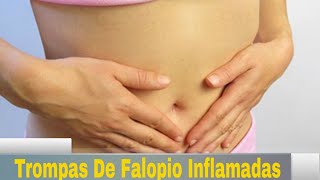 Trompas De Falopio Inflamadas Remedio Natural Para Trompas De Falopio Inflamadas [upl. by Eugatnom]