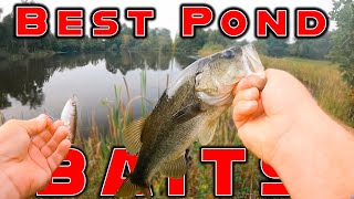 The Best Baits For Summer Pond Fishing  And Bank Fishing [upl. by Aisa]