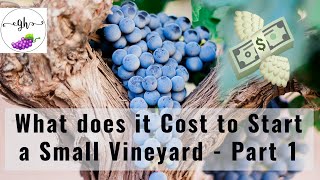 Backyard Vineyard  What Does it Cost to Start a Small Backyard Vineyard PART 1 [upl. by Tawsha]