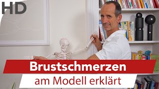 Ursachen von Schmerzen am Brustmuskel  Das kann es sein [upl. by Lizned]