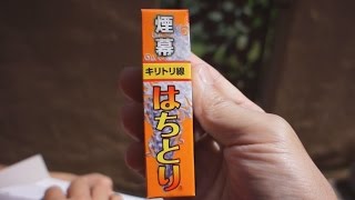 【昆虫食】煙幕花火で蜂の巣を採取【蜂の子】 Eating the larvae of beesEntomophagy [upl. by Gran361]