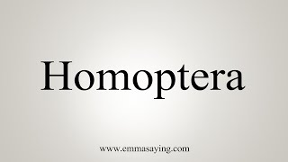 How To Say Homoptera [upl. by Adnauqaj874]