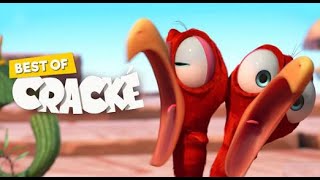 Roast Ed  Cracké  Video For Kids Best Animation Cartoons For Kids New Cartoons For Kids [upl. by Newton]