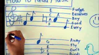 How to Read Music  Basics for Beginners  Music Theory Lesson [upl. by Gleeson]