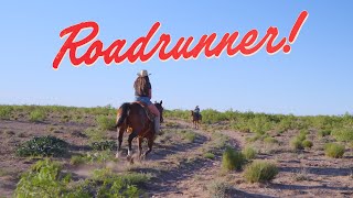 Kaitlin Butts  Roadrunner Official Music Video [upl. by Kraft]