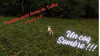 chasse au petit gibier avec Tallia premier arrêt ferme 😍💕👏 [upl. by Sugar]