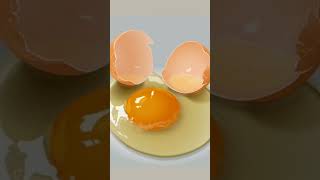 What is the description of a fertilized eggWhat is the description of a fertilized eggWhat is the [upl. by Arela]