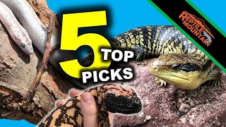 Top 5 Reptiles  My Collection Favorites  Ep 97 [upl. by Yrrac]