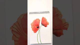 Poppies 3 watercolor aquarelle acuarela poppy [upl. by Gayner]