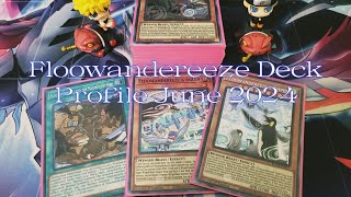 Floowandereeze InDepth Deck Profile June 2024 [upl. by Elleirua]