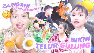 GAGAL BIKIN TELUR GULUNG DAN CARI ZARIGANI [upl. by Htesil]