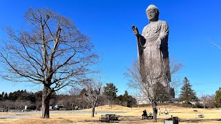 Ushiku Daibutsu 🙏 Ibaraki Japan [upl. by Nuahsed]