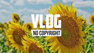 Nekzlo  Aloha Kakahiaka Vlog No Copyright Music [upl. by Rockwood495]