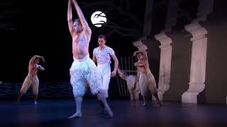 Matthew Bourne΄s Swan Lake 2012  swan dance  long [upl. by Yanal]