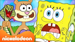 30 Minutes Of SpongeBob amp Sandy’s TREEDOME TROUBLE  Nickelodeon Cartoon Universe [upl. by Nale]